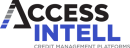 AccessIntell_logo